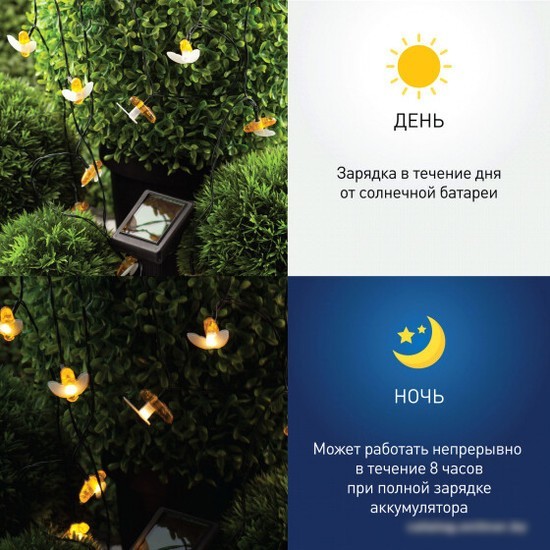 Разветвитель для гирлянд ЭРА ERAPS-K800