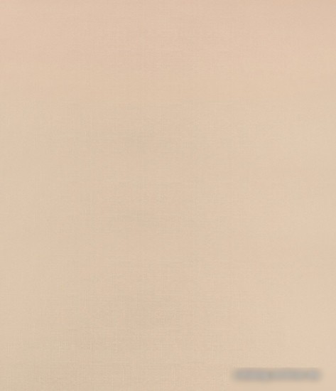 Рулонные шторы Legrand Декор 98x175 (пудра)