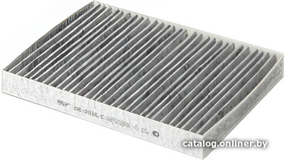 BIG Filter GB-9936/C BIG Filter GB-9936/C