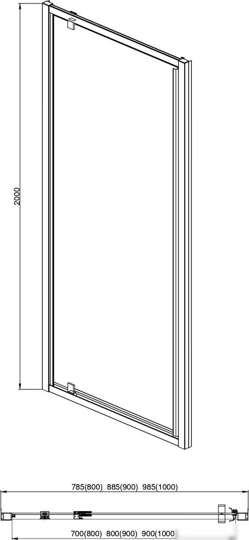 Душевая дверь Aquatek 100x200 AQ ARI PI 10020GM