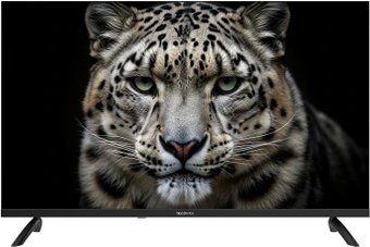 Телевизор Topdevice 32" TDWC32BH1000V