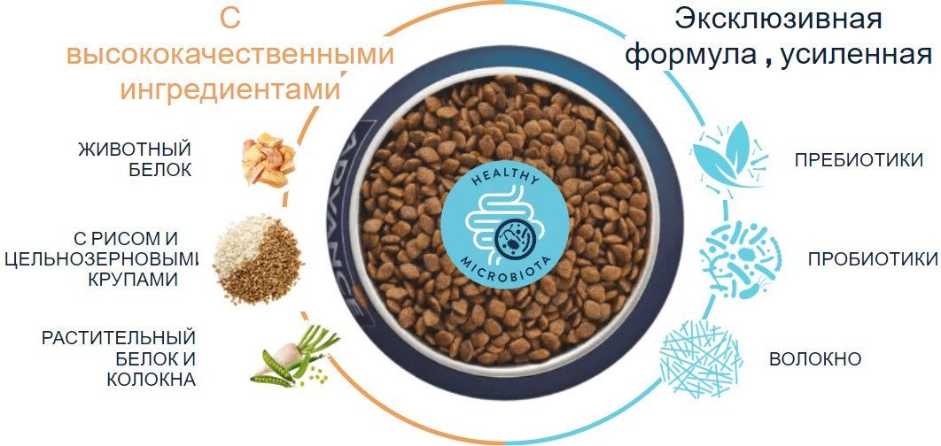 Сухой корм для собак Advance Mini Adult Chicken & Rice 7 кг
