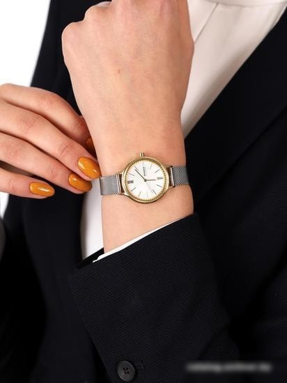 Наручные часы Skagen SKW2866