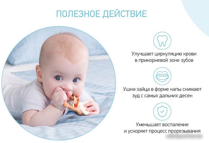 Сортер Roxy Kids Bunny Teether RBT-001BD (шоколадный)