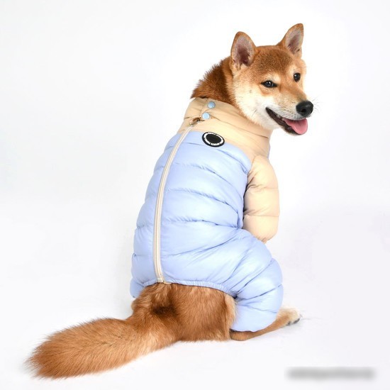 Комбинезон для животных Puppia Ultra Light Pastel PAUD-JP1675-BE-M (бежевый/голубой)
