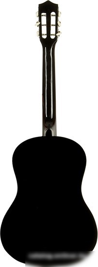 Акустическая гитара Belucci BC3825 BK