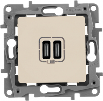 Розетка Type-C Legrand Etika 672335 (слоновая кость)