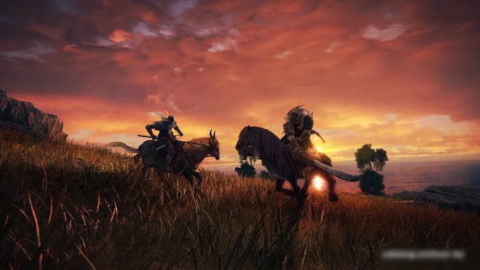 Elden Ring для PlayStation 5