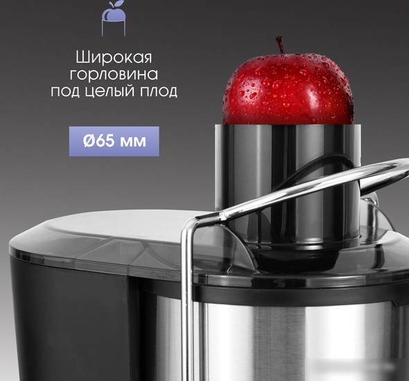 Соковыжималка Zigmund & Shtain EJ?757