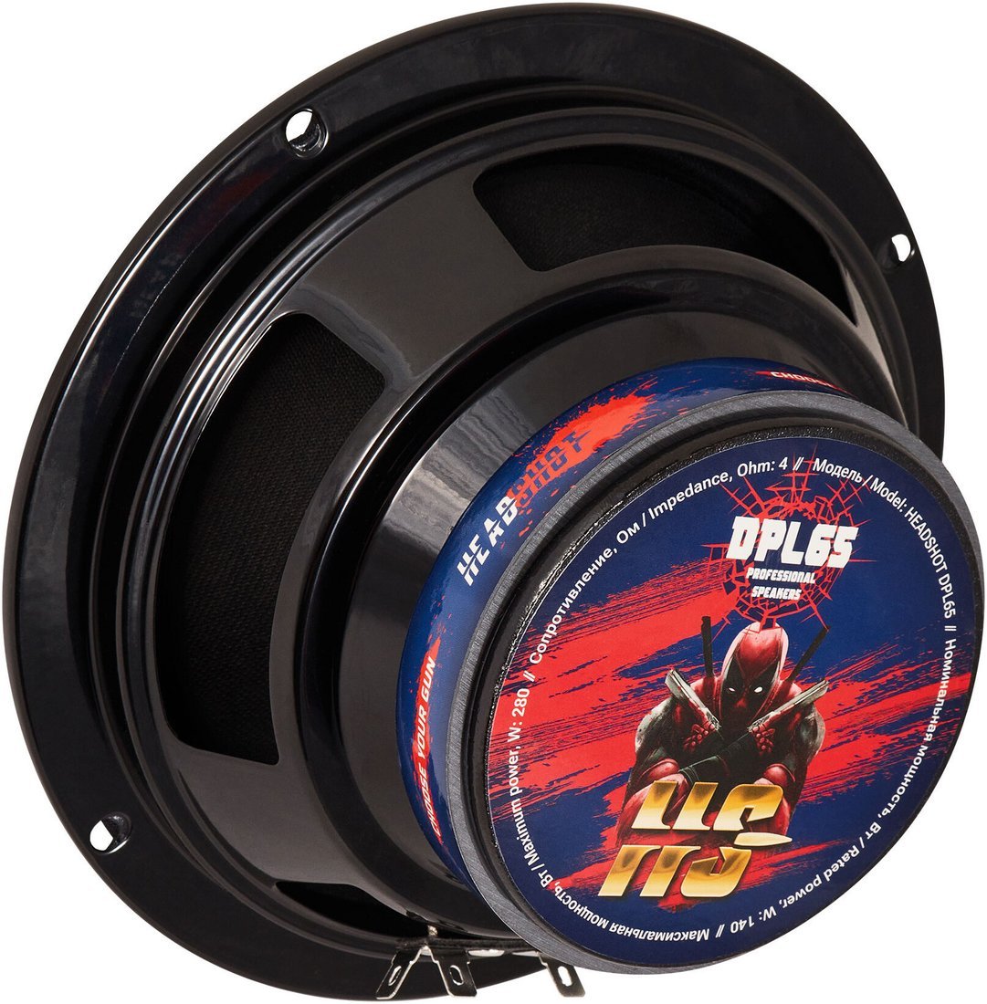 Среднечастотная АС KICX Headshot DPL65