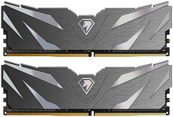 Оперативная память Netac Shadow II Black 2x16ГБ DDR4 3200МГц NTSWD4P32DP-32K