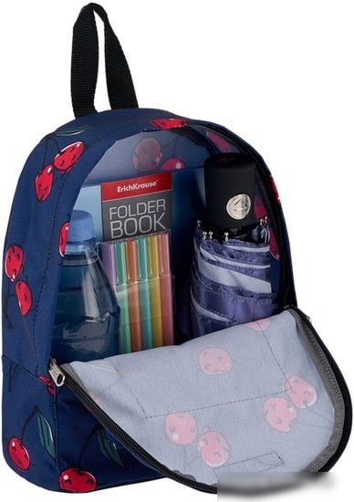 Рюкзак Erich Krause EasyLine 6L Cherryfall 51684