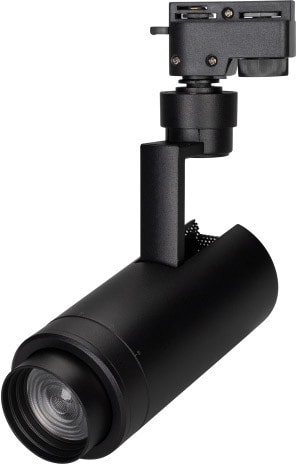 Трековый светильник Arlight LGD-ZEUS-2TR-R67-10W Day4000 025940(1)