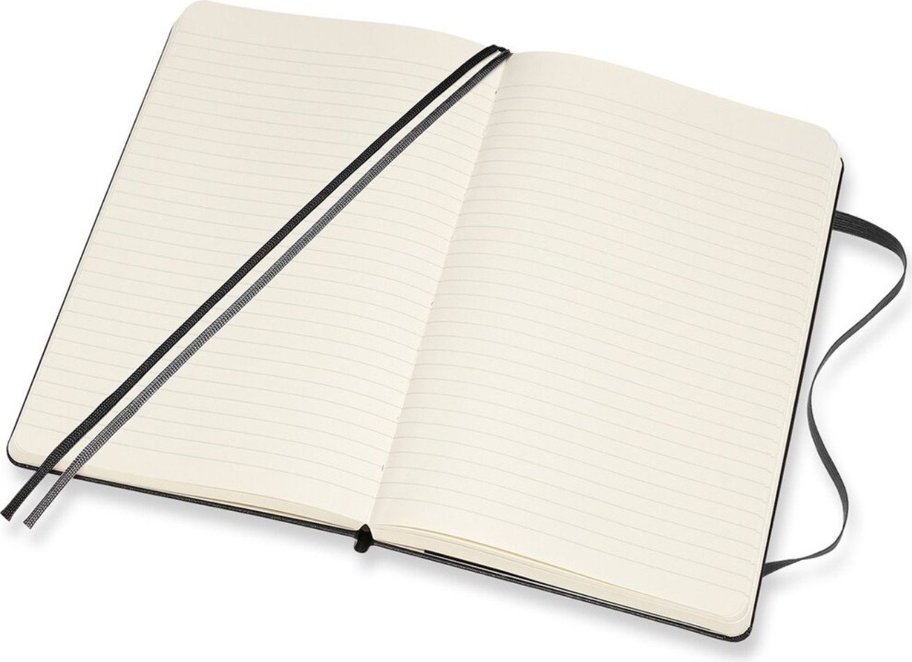Блокнот Moleskine Classic Expended Large 1127515 (200 л, черный)