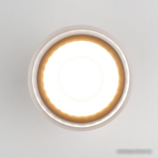 Уличный накладной светильник Elektrostandard Light LED 2107 35140/H (серый)