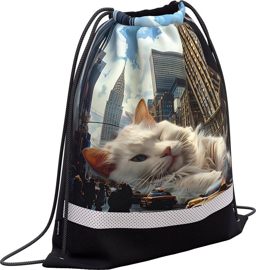 Мешок для обуви Erich Krause Big City Cats 63583
