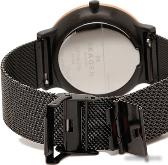 Наручные часы Skagen SKW6296