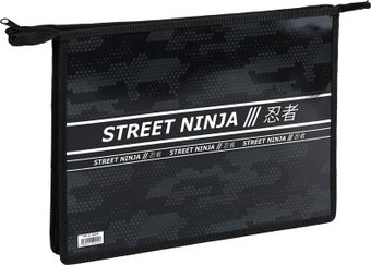 Папка для тетрадей ArtSpace Ninja ПТР-22_42245