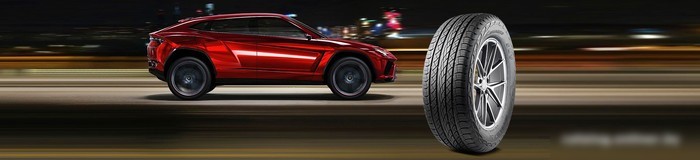 Летние шины Antares Majoris R1 295/45R20 114W