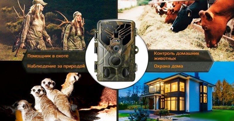 Фотоловушка Suntek HC-810A