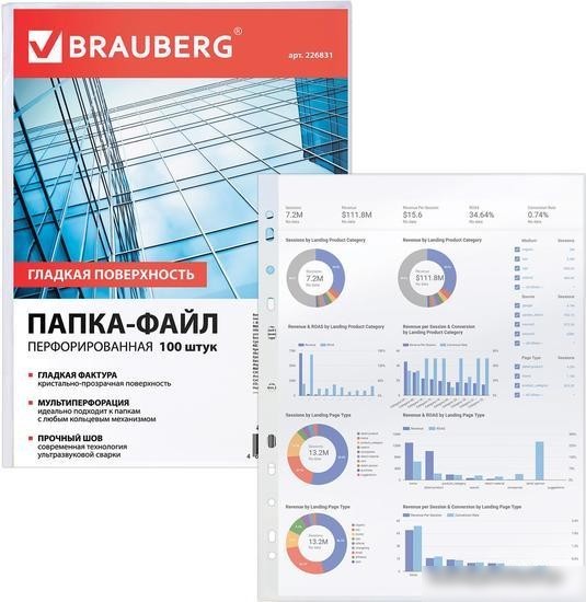 Набор файлов BRAUBERG 226831 (100 шт)