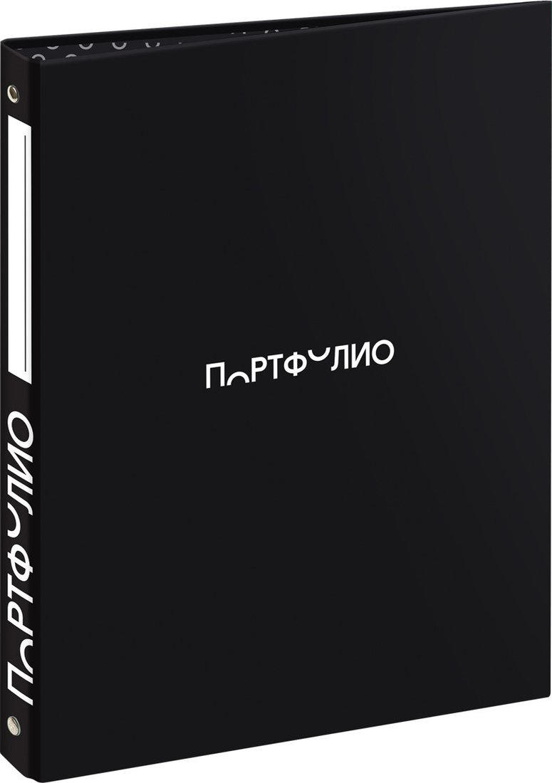 Папка адресная BG Портфолио для школьника ПФ_72385 (черный)