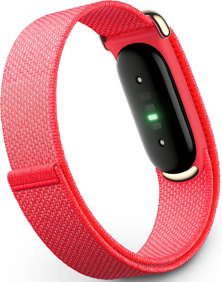 Фитнес-браслет Google Fitbit Air (ягодный)