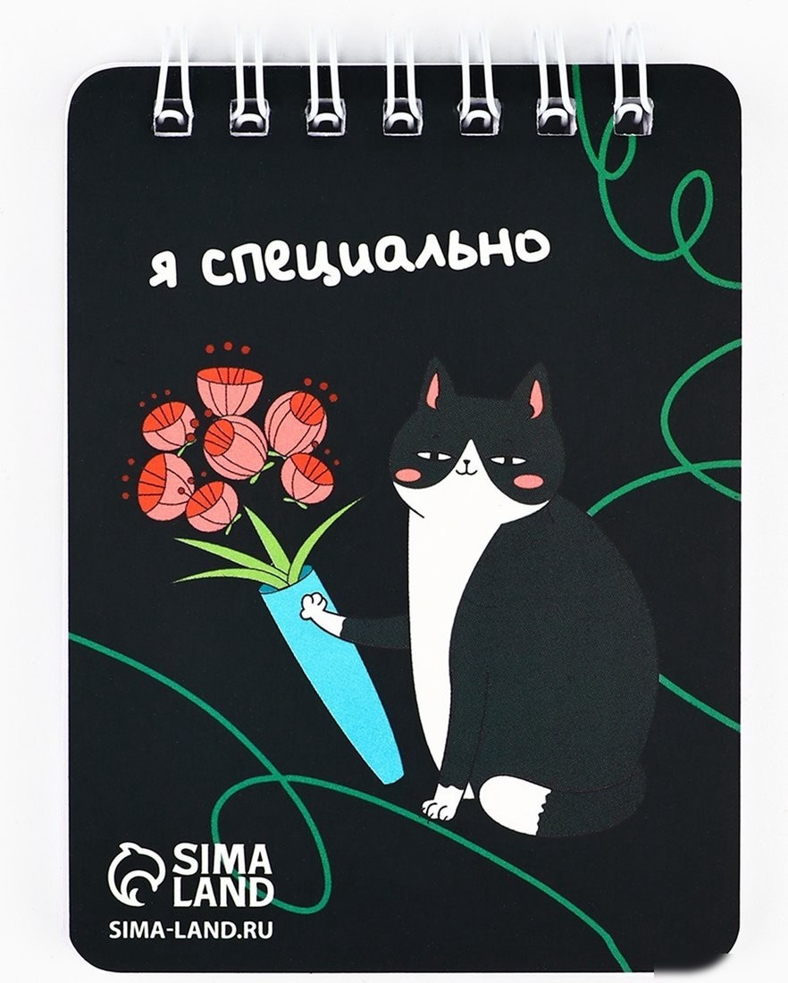 Подарочный набор ArtFox Настоящая котомания 10664155