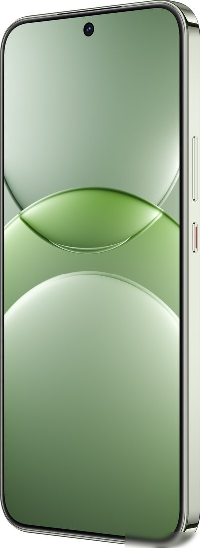 Телефон Huawei nova 13 BLK-LX9 12GB/512GB (дымчатый зеленый)