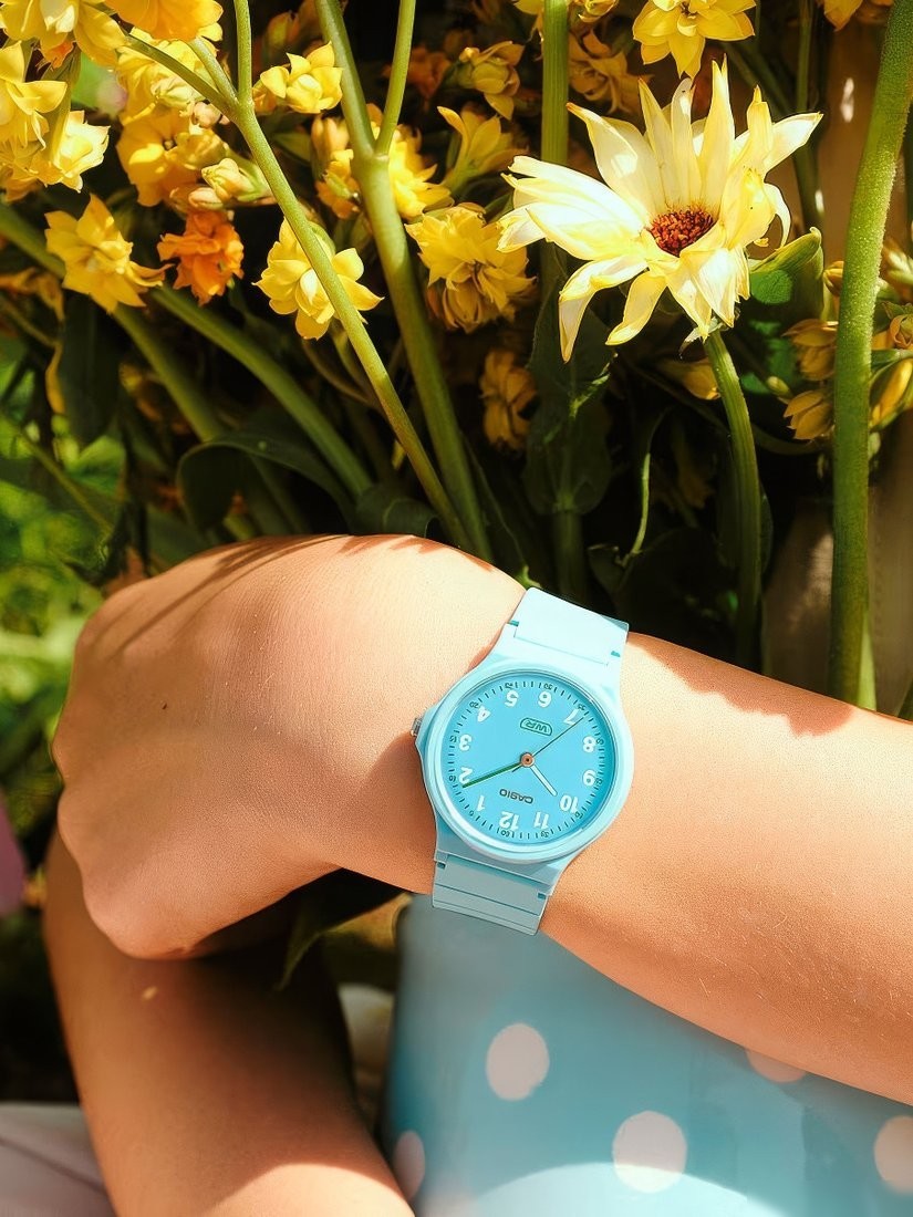 Наручные часы Casio Collection LQ-24B-2B