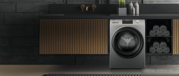Сушильная машина Haier HD90-A2959S