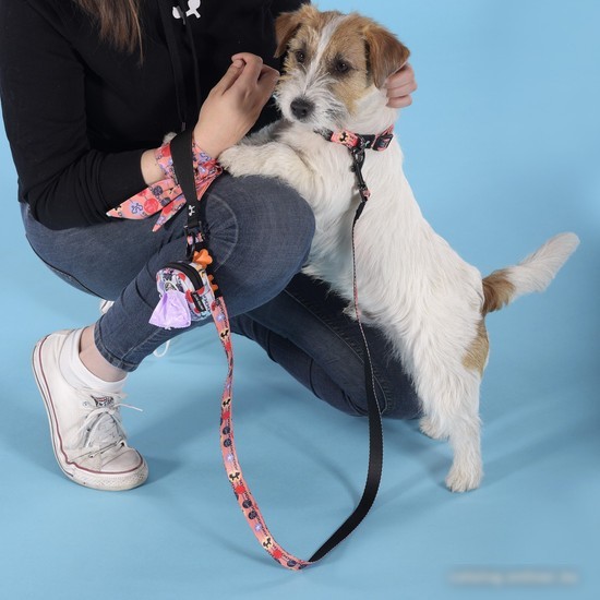Ошейник United Pets Complete Me Forever Collar (M)