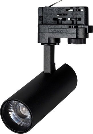 Трековый светильник Arlight LGD-GERA-4TR-R55-10W Day4000 024614(1)