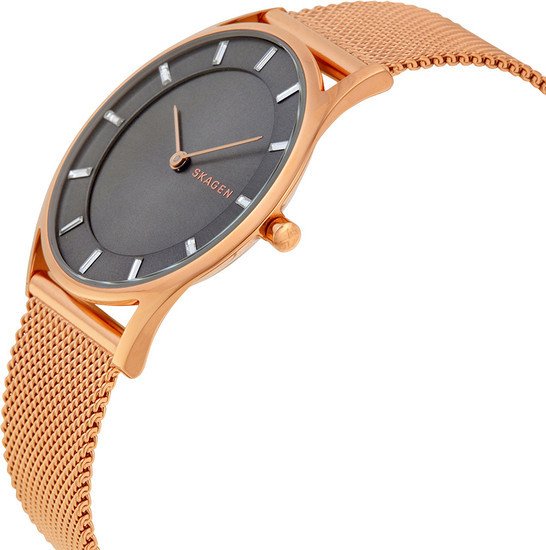 Наручные часы Skagen SKW2378