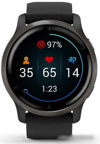 Умные часы Garmin Venu 2 (сланцевая нержавеющая сталь/черный)