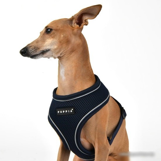 Шлейка Puppia Soft PAUA-HA1828-NY-XL (синий)