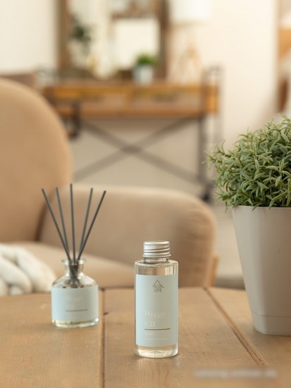 Жидкость для аромадиффузора Arida Home Hygge №21 Остров Борнео (100мл)