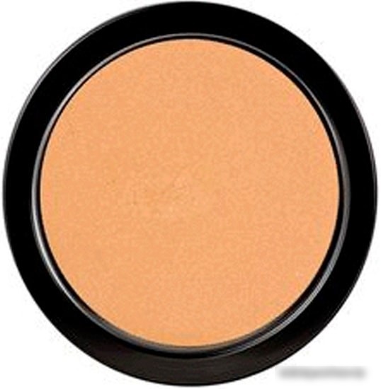Тональная пудра Paese Illuminating Covering Powder (тон 3C)