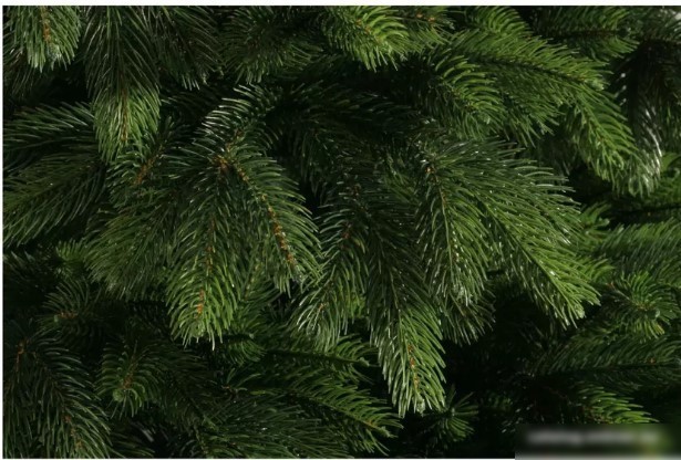 Ель National Tree Company Эверест ЭВ-210 (210 см)