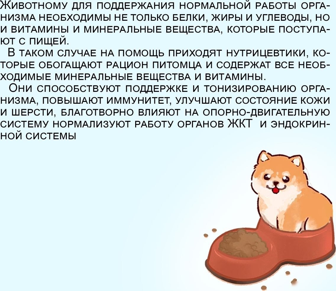 Сухой корм для собак Edel Medium&Maxi Lamb 2 кг