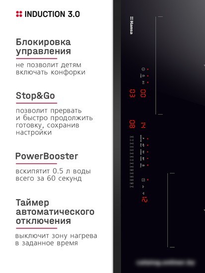 Варочная панель Hansa BHI67116