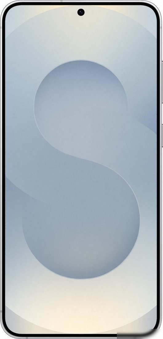 Телефон Samsung Galaxy S25+ SM-S936B 12GB/256GB (серый)