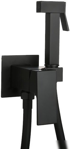 Гигиенический душ Roxen Caspia 50096000-B