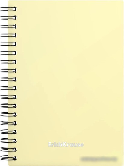 Общая тетрадь Erich Krause Pastel 80 л клетка 50161