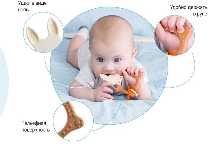 Сортер Roxy Kids Bunny Teether RBT-001BD (шоколадный)