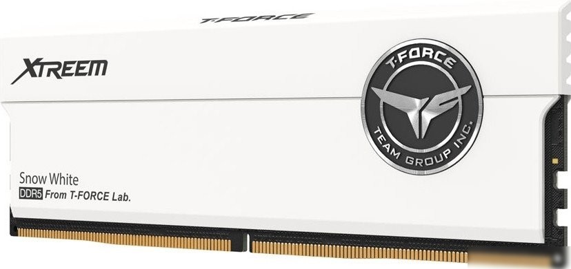 Оперативная память Team T-Force Xtreem 2x16ГБ DDR5 8000 МГц FFWD532G8000HC38DDC01