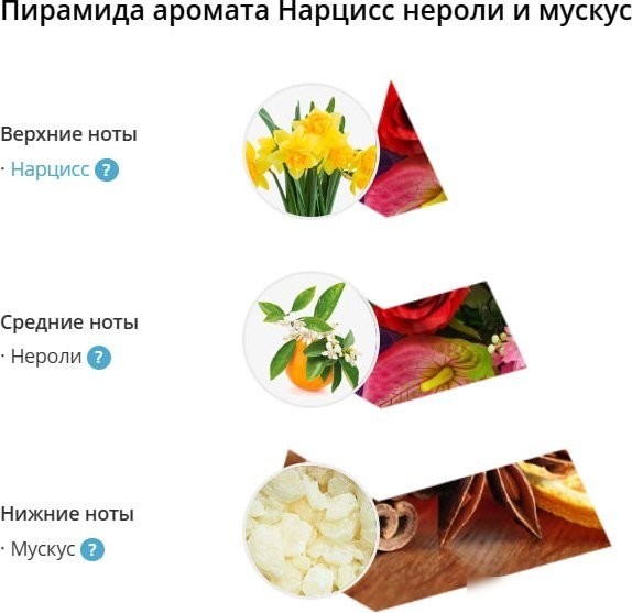 Аромадиффузор Eteria Cosmo Нарцисс нероли и мускус ETC0123 (45 мл)