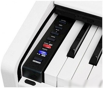 Цифровое пианино Medeli DP280K (белый)