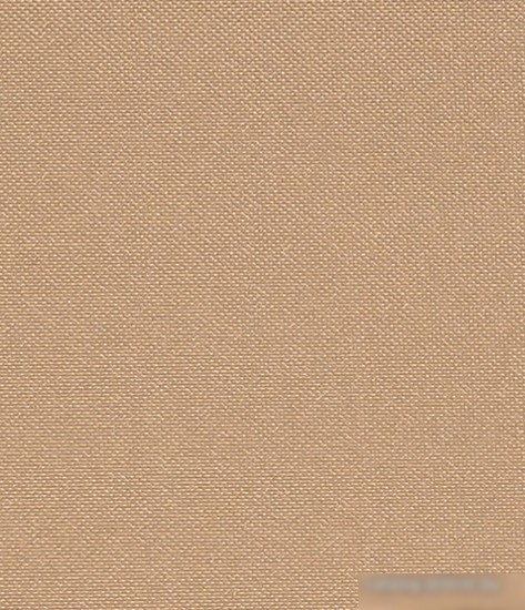 Рулонные шторы Legrand Лестер 61.5x175 (бежевый)