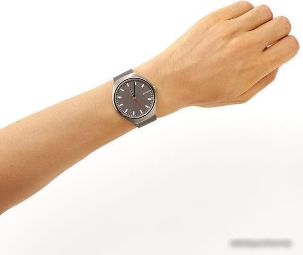 Наручные часы Skagen SKW6387